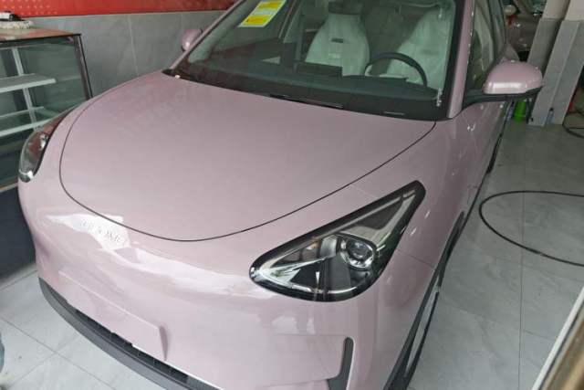 Used Geely Galaxy Geome 2025 310km Youth Edition