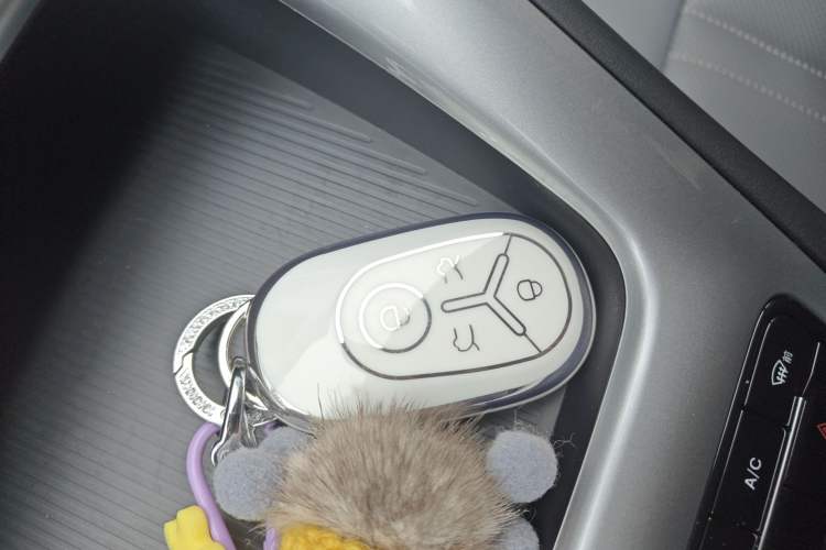 Used Geely Galaxy Geome 2025 310km Youth Edition Interior 1