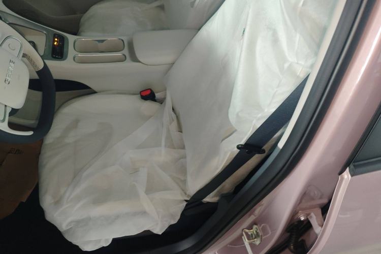 Used Geely Galaxy Geome 2025 310km Youth Edition Left Front Seat