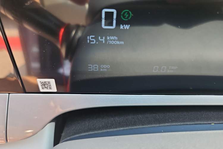 Used Geely Galaxy Geome 2025 310km Youth Edition Odometer Close Up