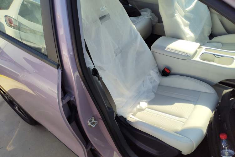 Used Geely Galaxy Geome 2025 310km Dream Edition Right Front Seat