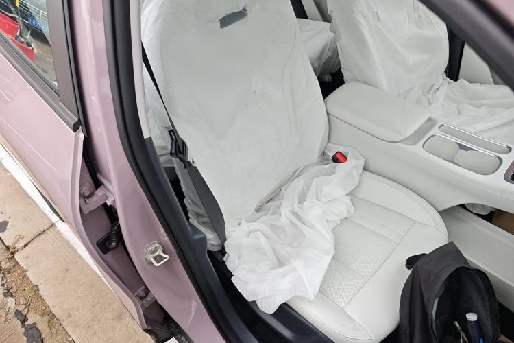 Used Geely Galaxy Geome 2025 310km Youth Edition Right Front Seat