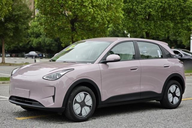 Used Geely Galaxy Geome 2025 310km Youth Edition