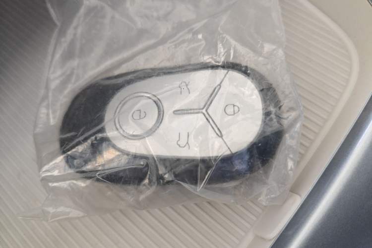 Used Geely Galaxy Geome 2025 310km Youth Edition Vehicle Key