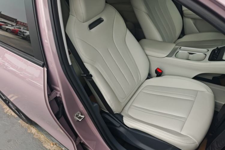 Used Geely Galaxy Geome 2025 310km Dream Edition Right Front Seat