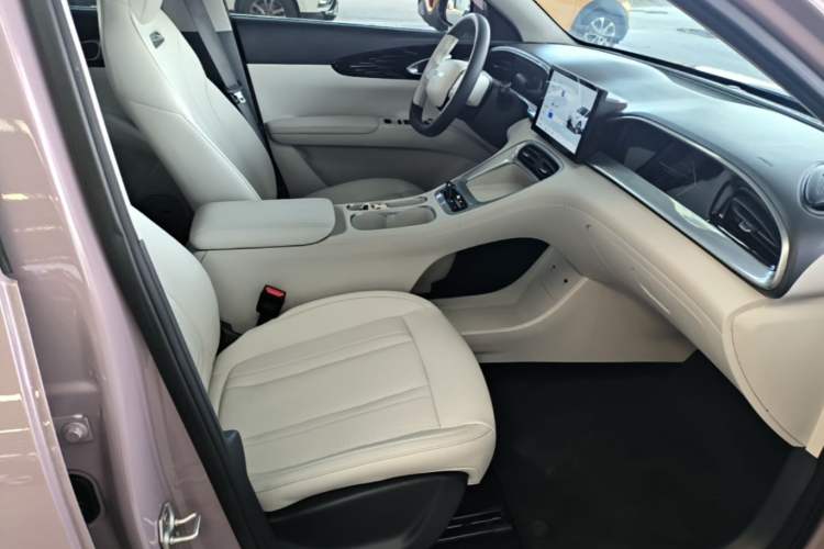Used Geely Galaxy Geome 2025 310km Dream Edition Right Front Seat