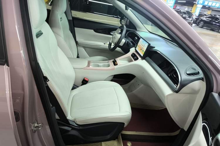 Used Geely Galaxy Geome 2025 310km Youth Edition Right Front Seat