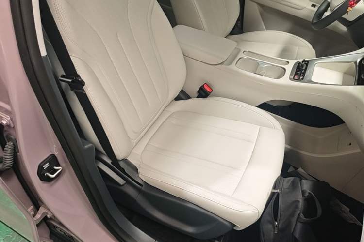 Used Geely Galaxy Geome 2025 310km Dream Edition Right Front Seat