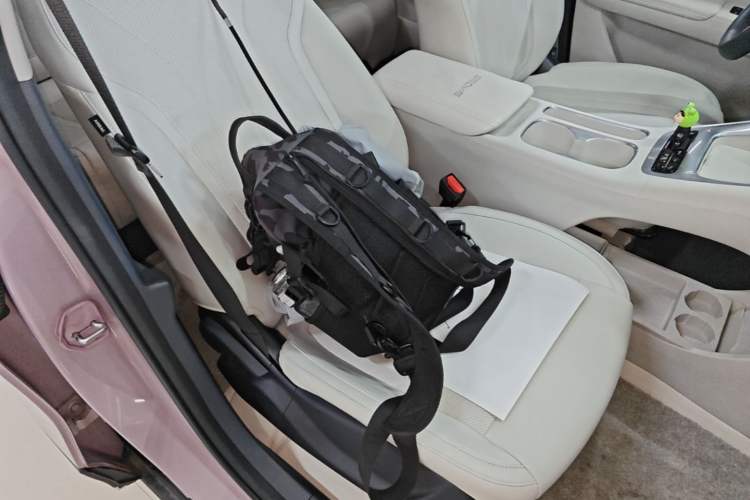 Used Geely Galaxy Geome 2025 310km Dream Edition Right Front Seat