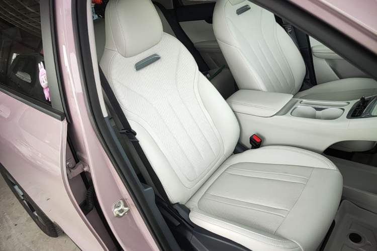 Used Geely Galaxy Geome 2025 310km Dream Edition Right Front Seat