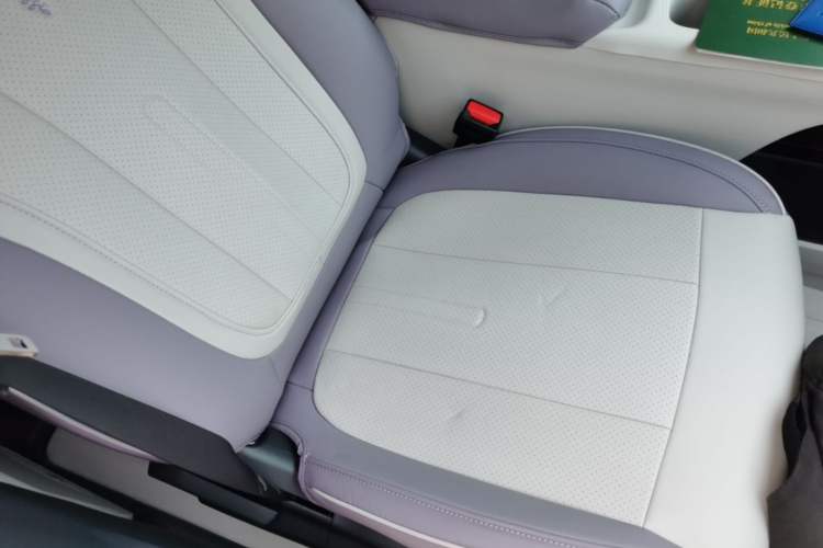 Used Geely Galaxy Geome 2025 310km Dream Edition Right Front Seat