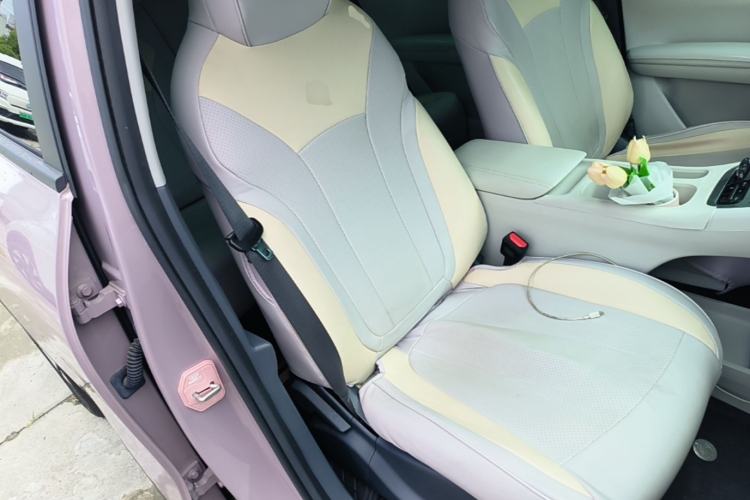Used Geely Galaxy Geome 2025 310km Youth Edition Right Front Seat