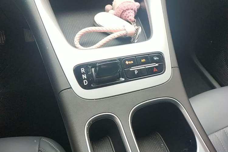 Used Geely Galaxy Geome 2025 310km Youth Edition Gear Lever