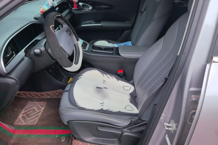 Used Geely Galaxy Geome 2025 310km Youth Edition Left Front Seat