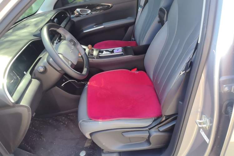 Used Geely Galaxy Geome 2025 310km Youth Edition Left Front Seat