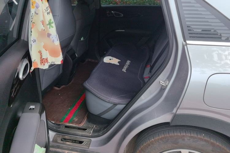 Used Geely Galaxy Geome 2025 310km Youth Edition Left Rear Seat