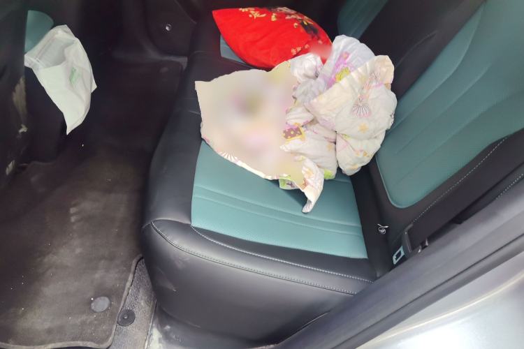 Used Geely Galaxy Geome 2025 310km Dream Edition Left Rear Seat