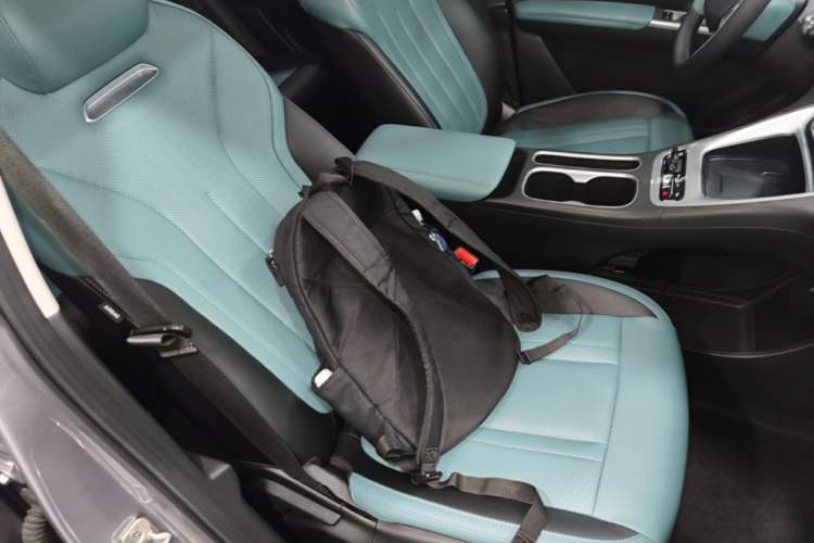 Used Geely Galaxy Geome 2025 310km Dream Edition Right Front Seat
