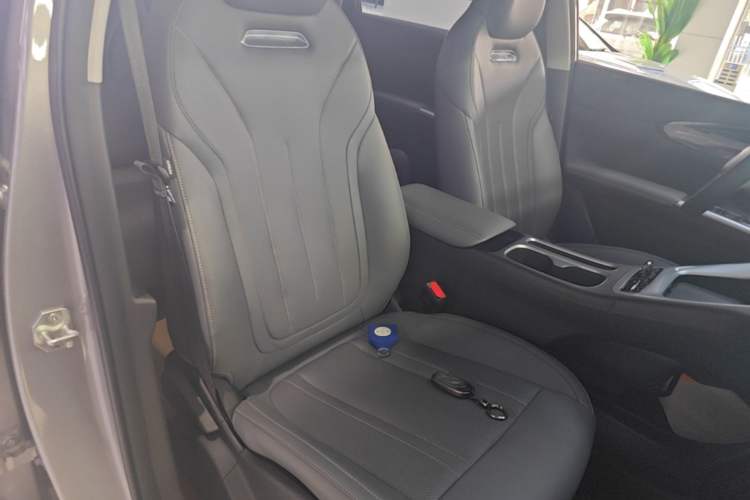 Used Geely Galaxy Geome 2025 310km Youth Edition Right Front Seat