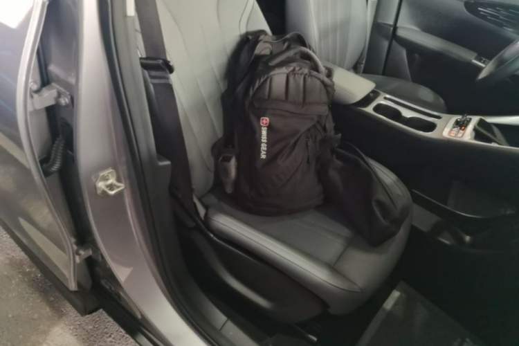 Used Geely Galaxy Geome 2025 310km Youth Edition Right Front Seat