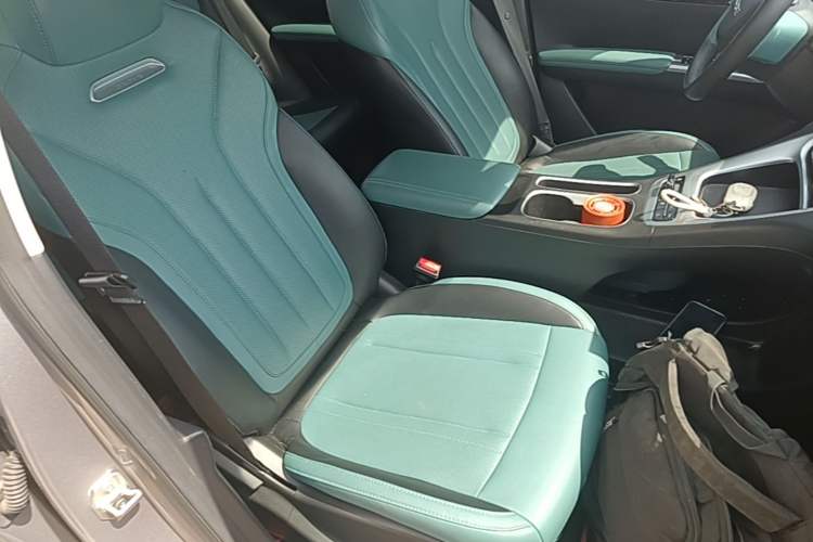 Used Geely Galaxy Geome 2025 310km Dream Edition Right Front Seat