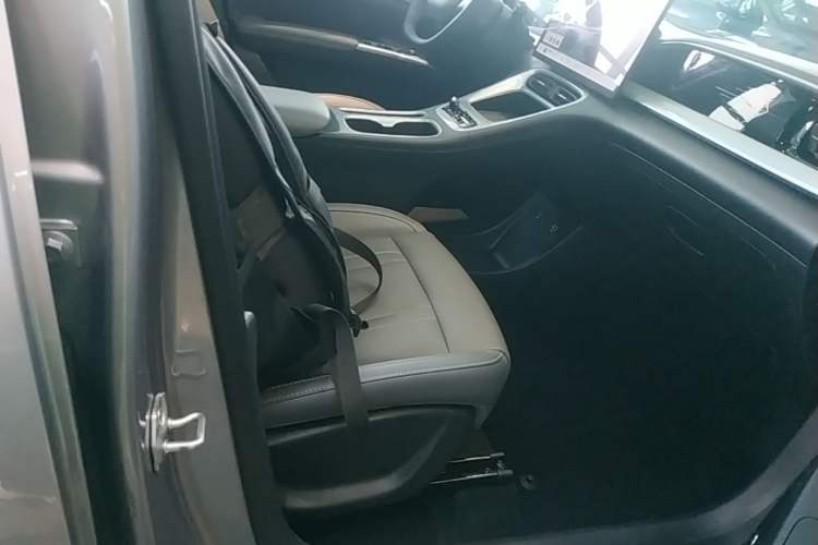 Used Geely Galaxy Geome 2025 310km Dream Edition Right Front Seat