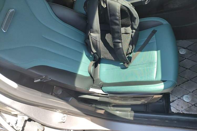Used Geely Galaxy Geome 2025 310km Dream Edition Right Front Seat