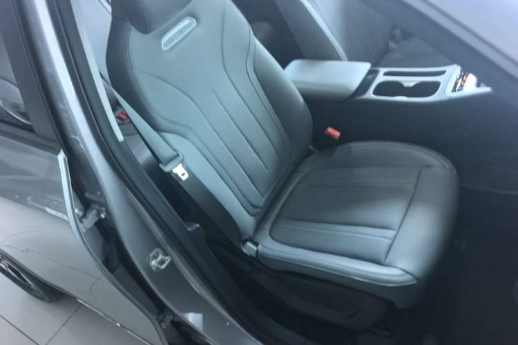 Used Geely Galaxy Geome 2025 310km Dream Edition Right Front Seat