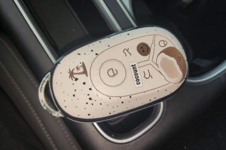 Used Geely Galaxy Geome 2025 310km Dream Edition Vehicle Key