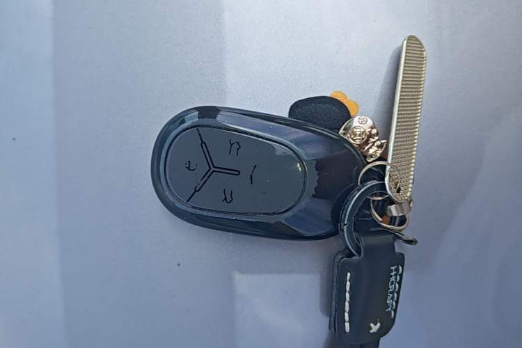 Used Geely Galaxy Geome 2025 310km Dream Edition Vehicle Key