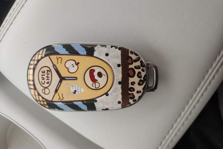Used Geely Galaxy Geome 2025 UP 410km Exploration Edition Vehicle Key