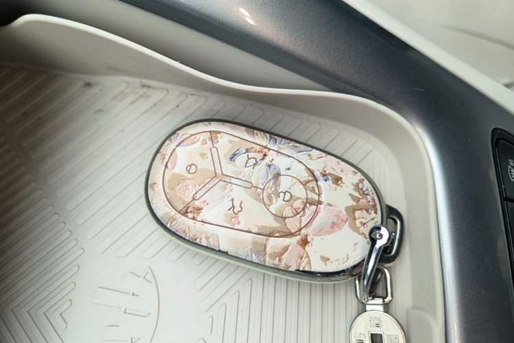 Used Geely Galaxy Geome 2025 310km Youth Edition Vehicle Key