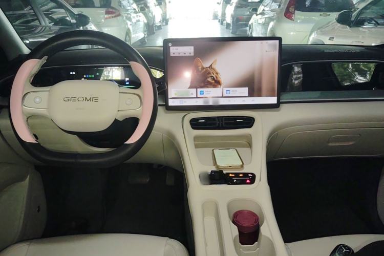 Used Geely Galaxy Geome 2025 310km Dream Edition Center Console