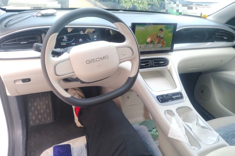Used Geely Galaxy Geome 2025 310km Youth Edition Center Console