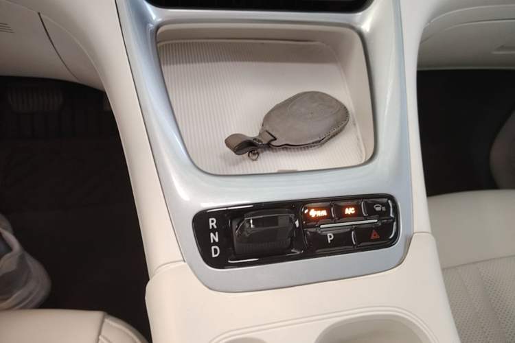 Used Geely Galaxy Geome 2025 310km Dream Edition Gear Lever