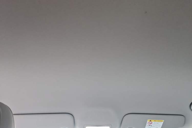 Used Geely Galaxy Geome 2025 310km Youth Edition Headliner