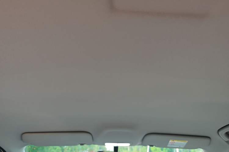 Used Geely Galaxy Geome 2025 310km Youth Edition Headliner