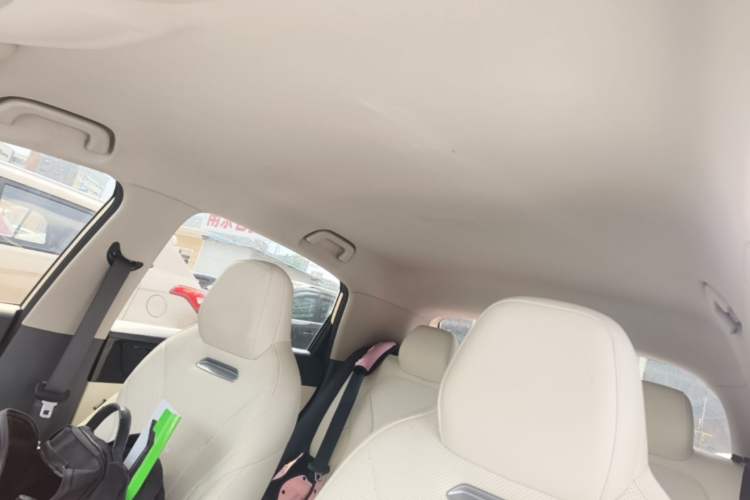 Used Geely Galaxy Geome 2025 310km Youth Edition Headliner