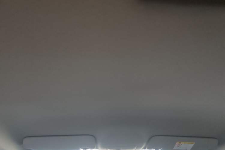 Used Geely Galaxy Geome 2025 310km Youth Edition Headliner