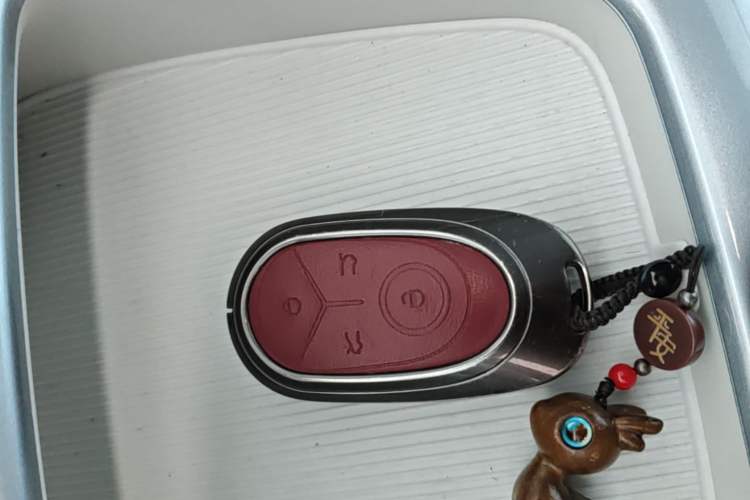 Used Geely Galaxy Geome 2025 310km Youth Edition Interior 1