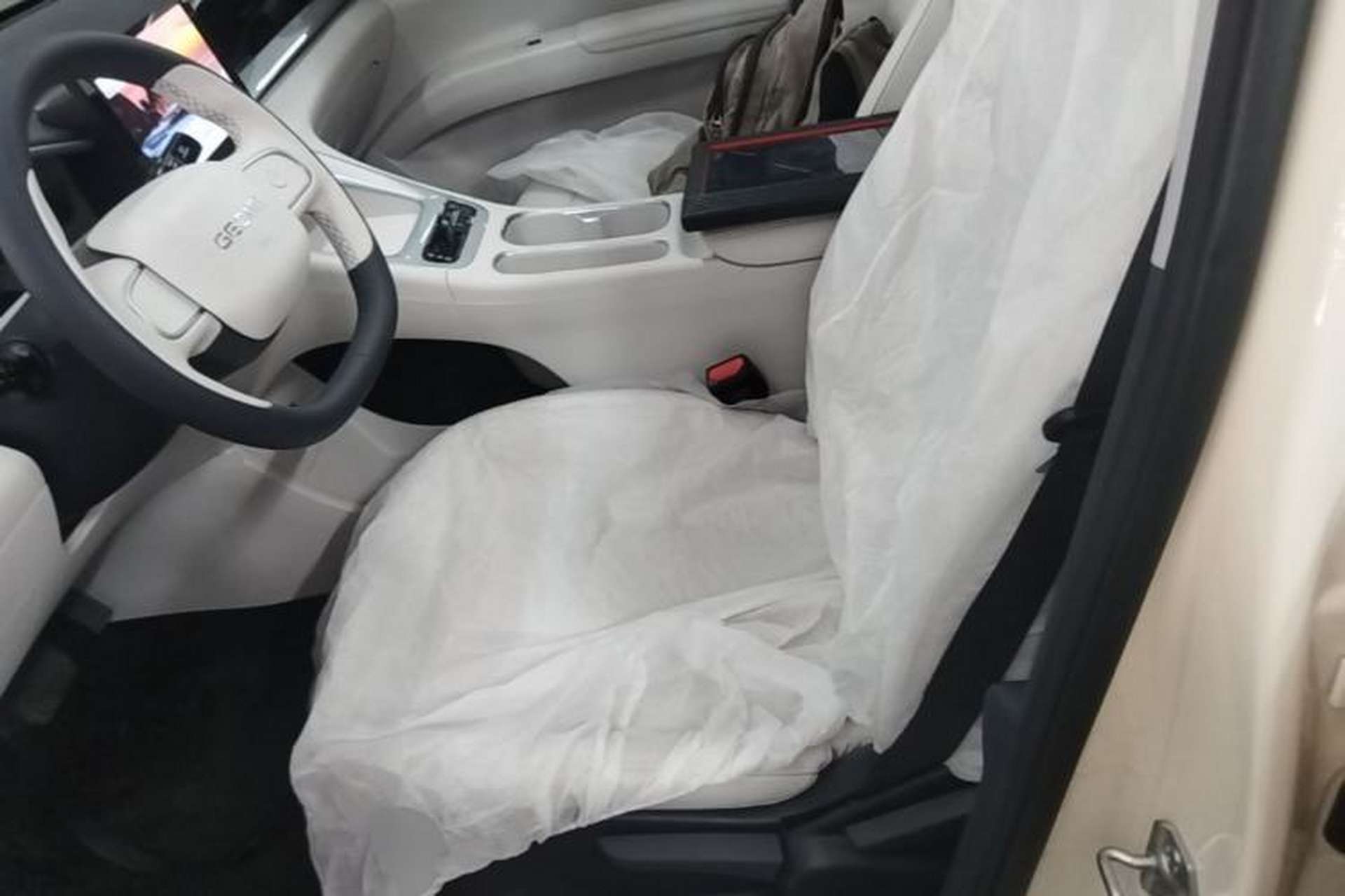 Used Geely Galaxy Geome 2025 410 km Free Version Left Front Seat