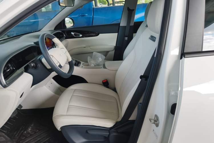 Used Geely Galaxy Geome 2025 310km Youth Edition Left Front Seat