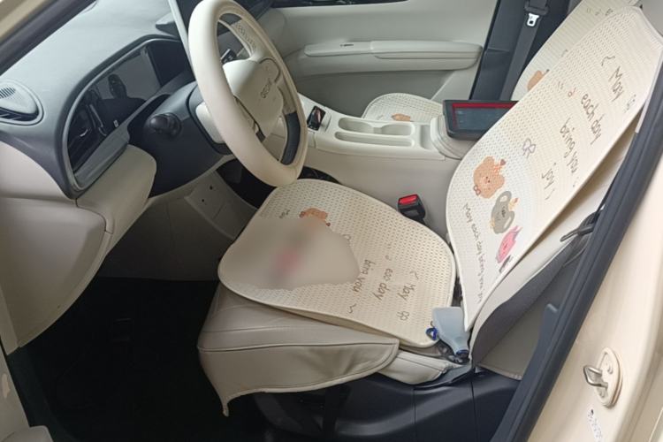 Used Geely Galaxy Geome 2025 310km Dream Edition Left Front Seat