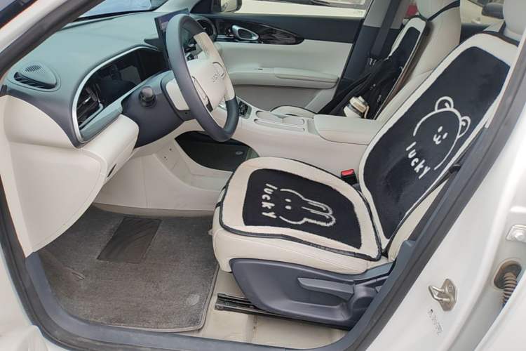 Used Geely Galaxy Geome 2025 310km Dream Edition Left Front Seat