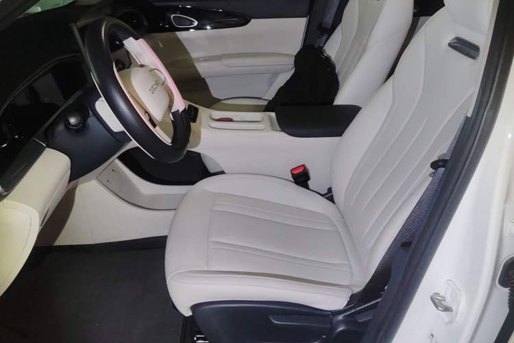 Used Geely Galaxy Geome 2025 310km Dream Edition Left Front Seat