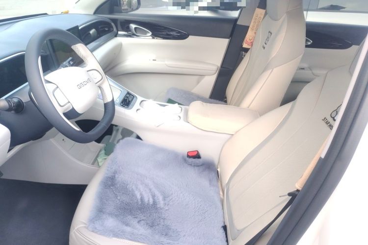 Used Geely Galaxy Geome 2025 310km Youth Edition Left Front Seat