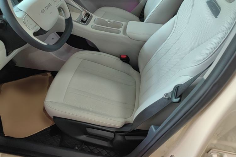 Used Geely Galaxy Geome 2025 310km Dream Edition Left Front Seat