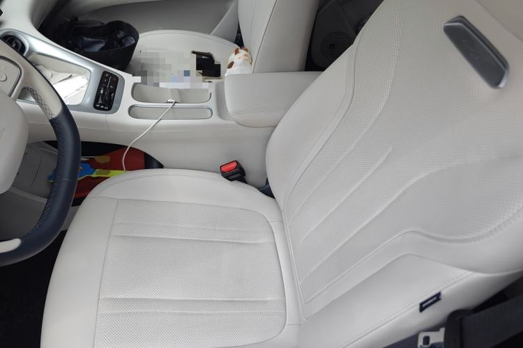 Used Geely Galaxy Geome 2025 310km Youth Edition Left Front Seat
