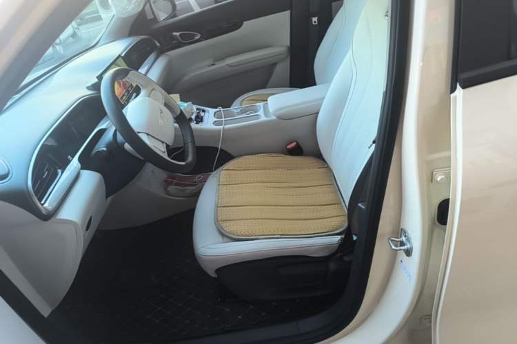 Used Geely Galaxy Geome 2025 310km Youth Edition Left Front Seat