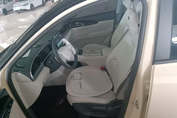 Used Geely Galaxy Geome 2025 310km Youth Edition Left Front Seat